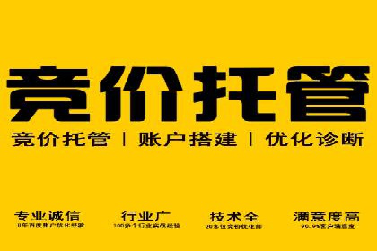 百度SEO推广策略调整：一个成功的调整案例